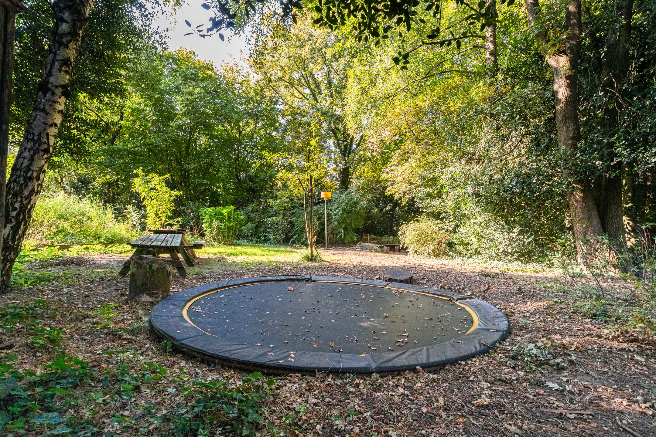 Foto 33 van Drieklinken 103