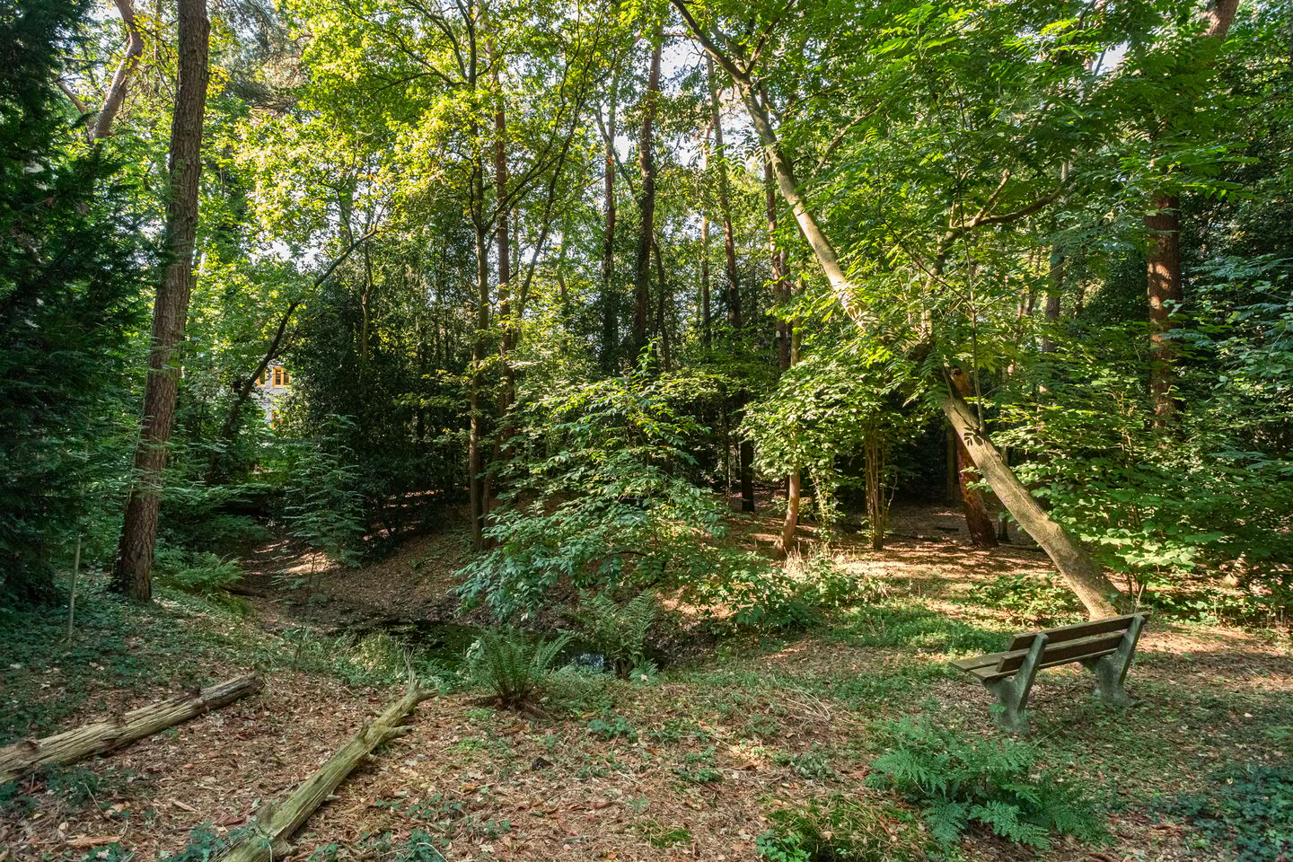 Foto 34 van Drieklinken 103