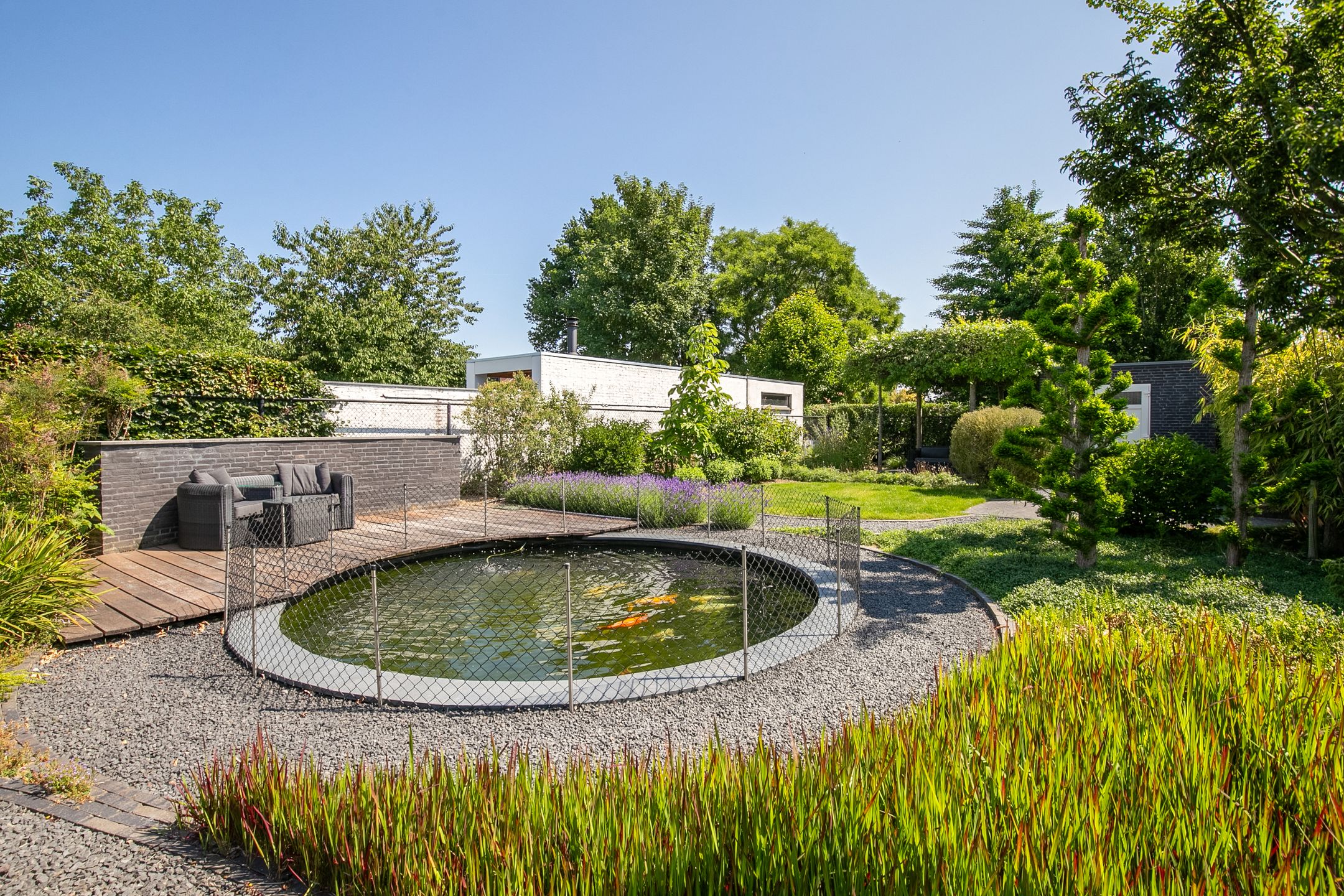 Photo 30 of Op de Rooter 7