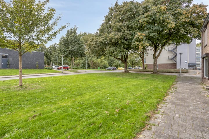 Foto 27 van Reaalruwe 76