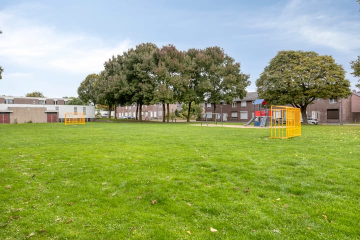 Foto 29 van Reaalruwe 76