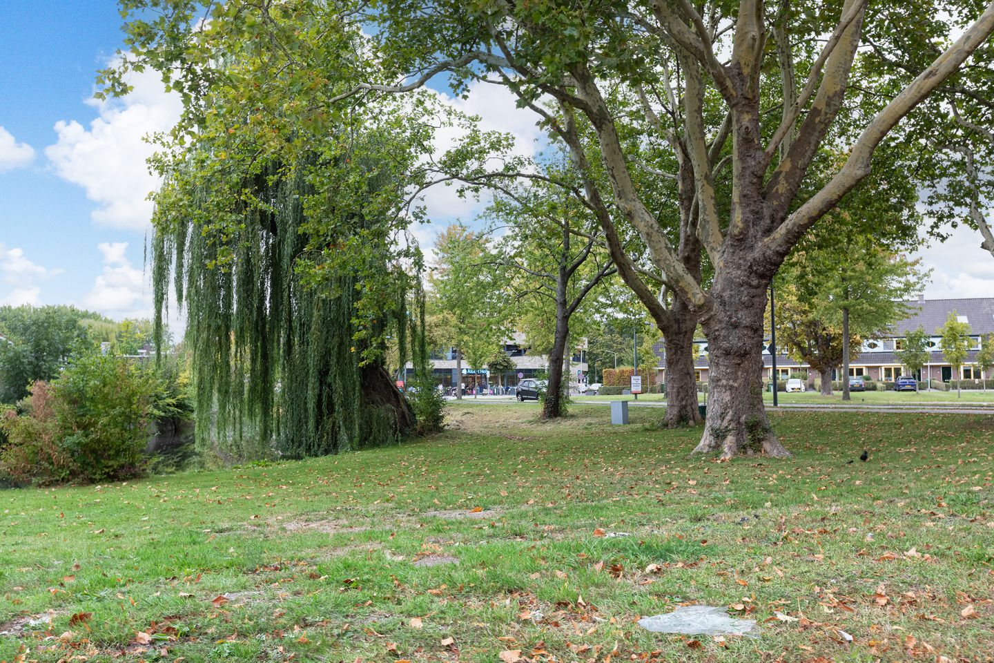 Foto 34 van Ruys de Beerenbrouckstraat 30