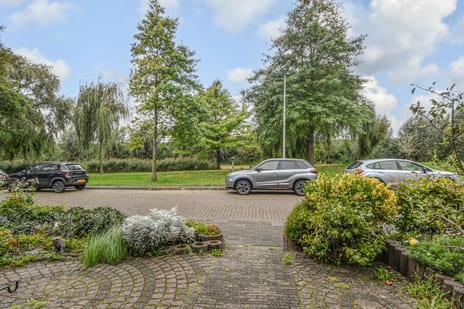 Rozemarijn 81 secondary image