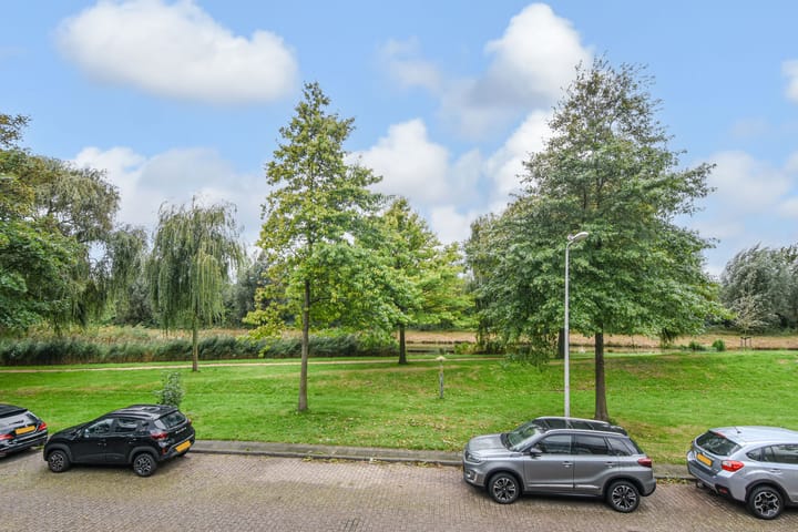 Foto 42 van Rozemarijn 81