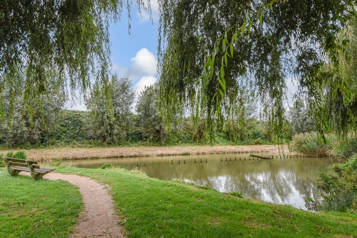 Foto 44 van Rozemarijn 81