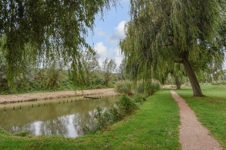 Foto 45 van Rozemarijn 81