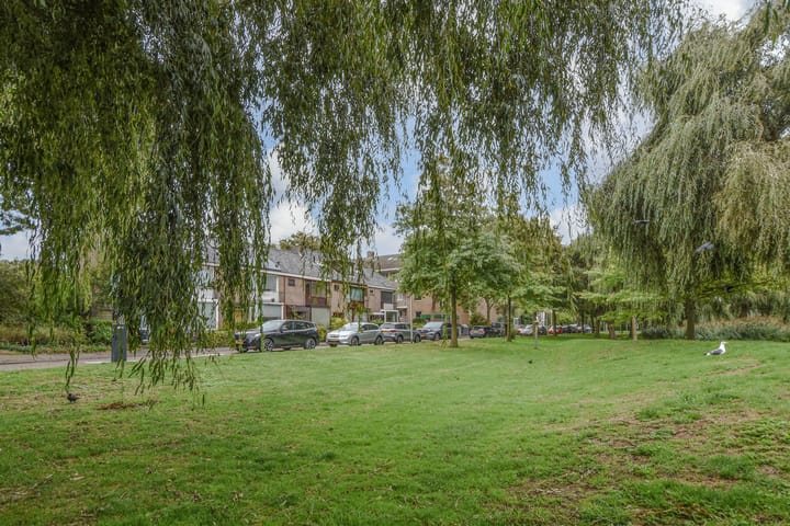 Foto 46 van Rozemarijn 81