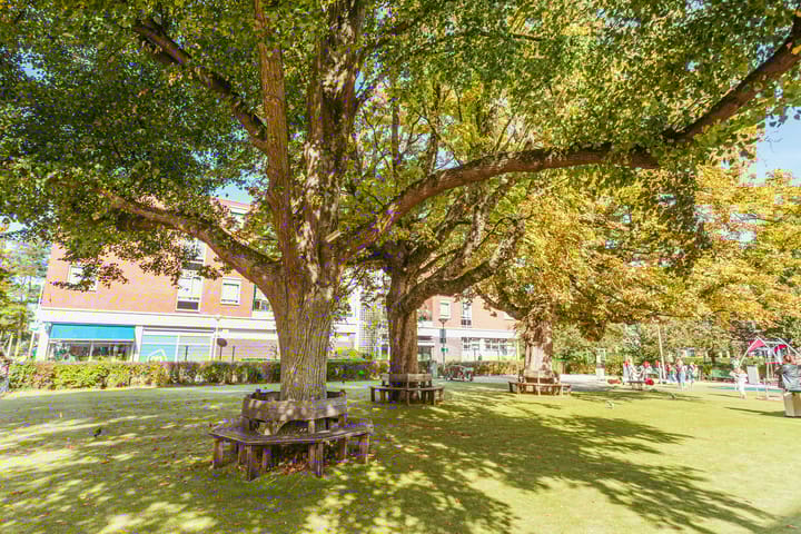 Photo 41 of Populierstraat 24