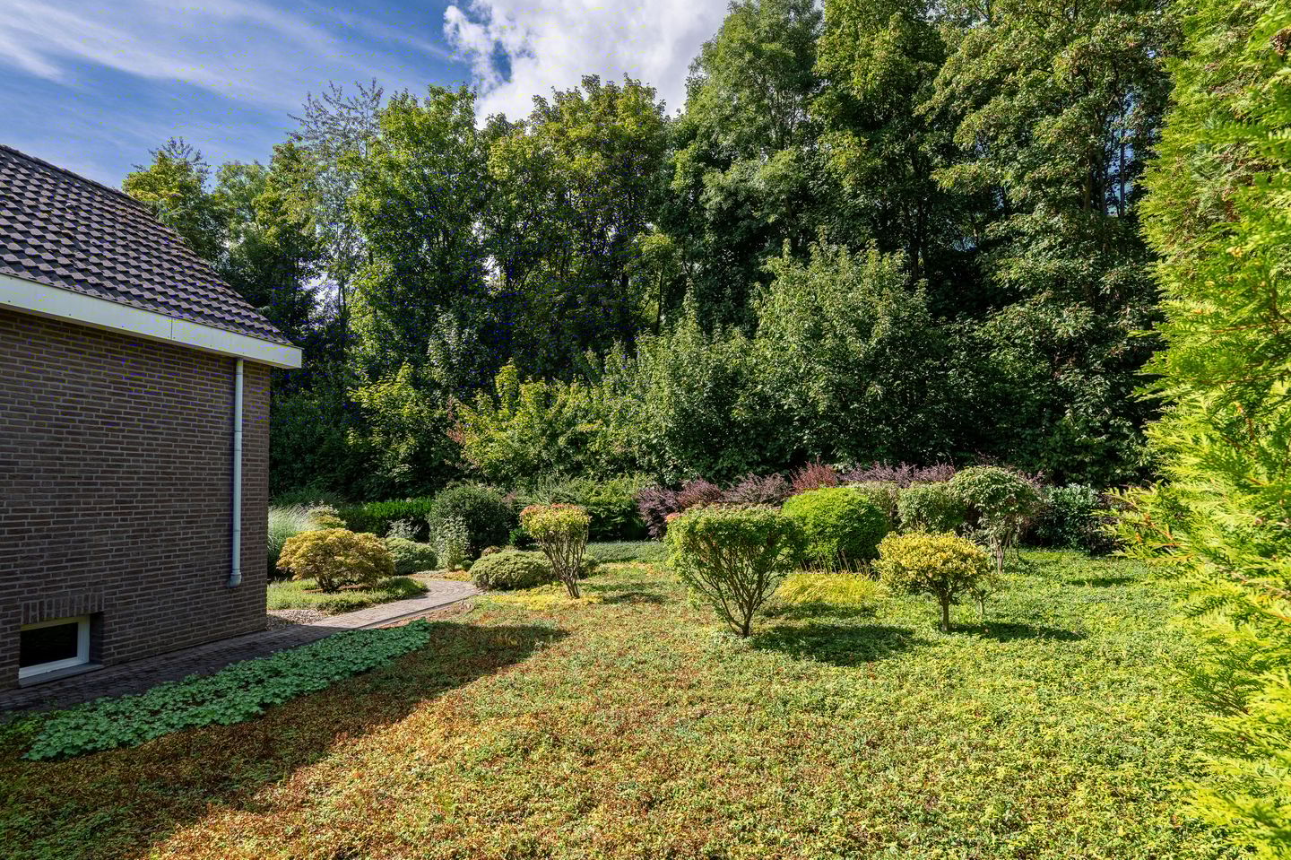 Foto 34 van Adriaen Brouwerstraat 42