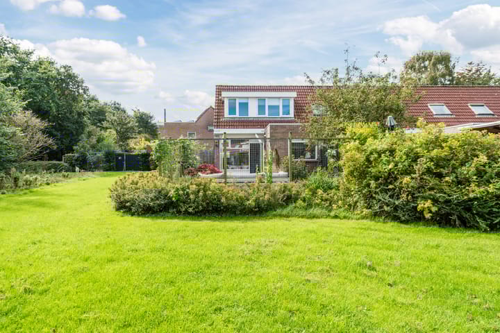 Foto 5 van Schipperstraat 47