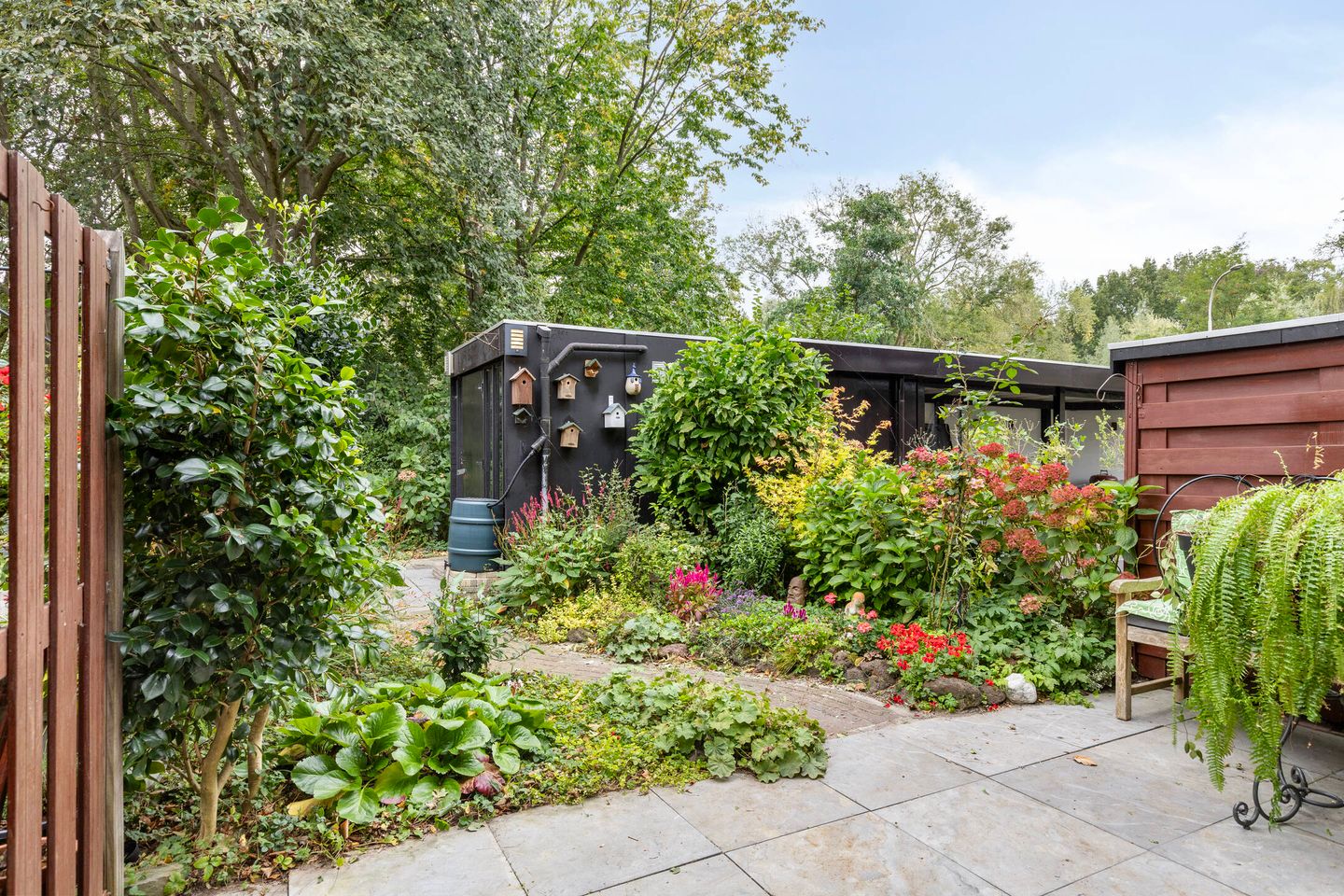 Photo 5 of Deborah Hoeve 55