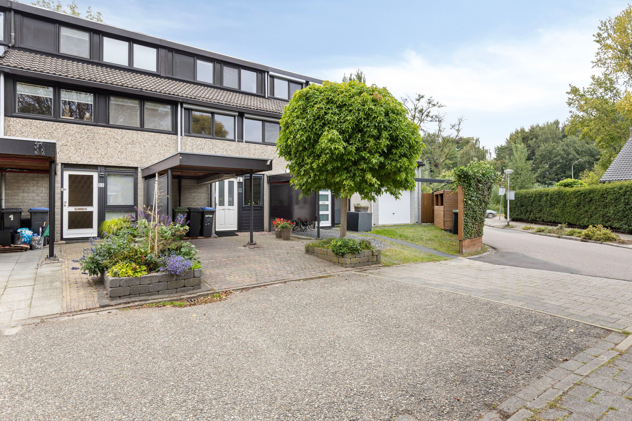 Photo 6 of Deborah Hoeve 55