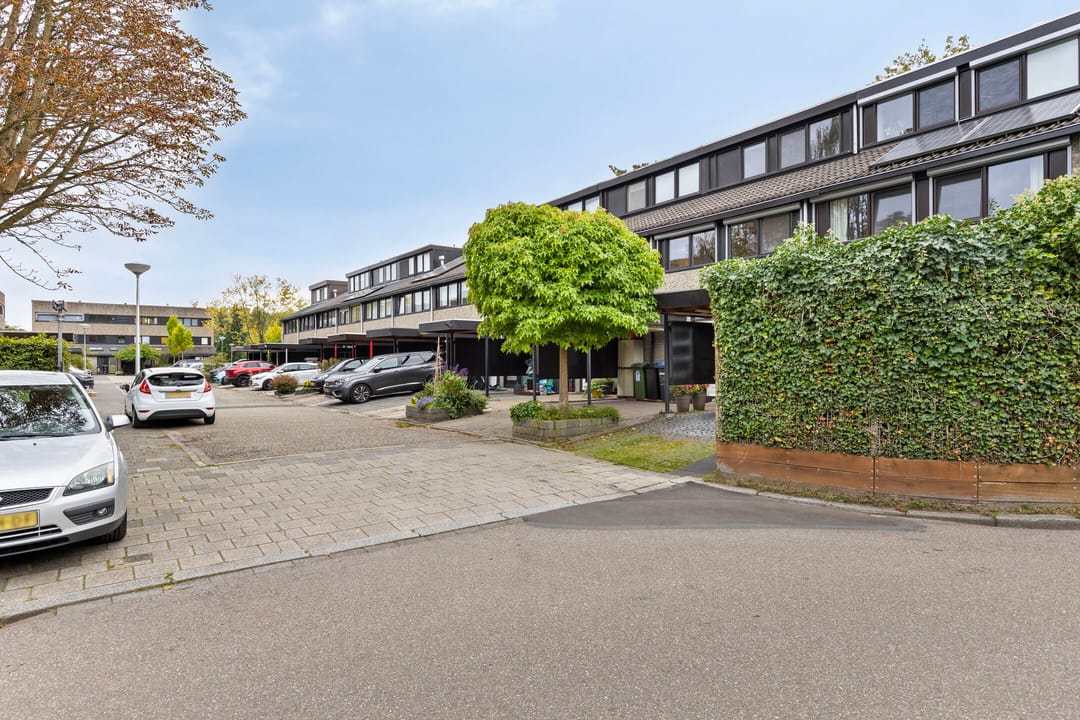 Photo 7 of Deborah Hoeve 55