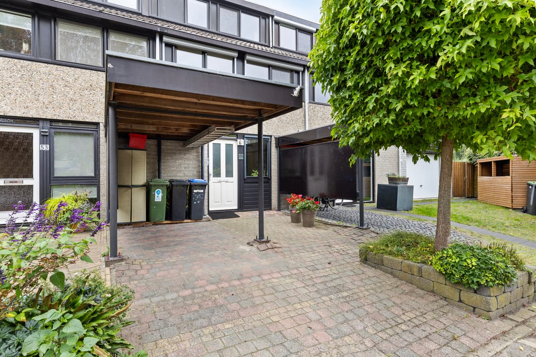 Photo 8 of Deborah Hoeve 55