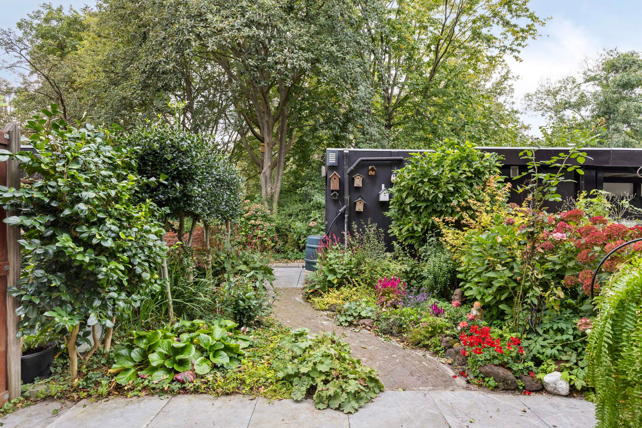 Photo 18 of Deborah Hoeve 55