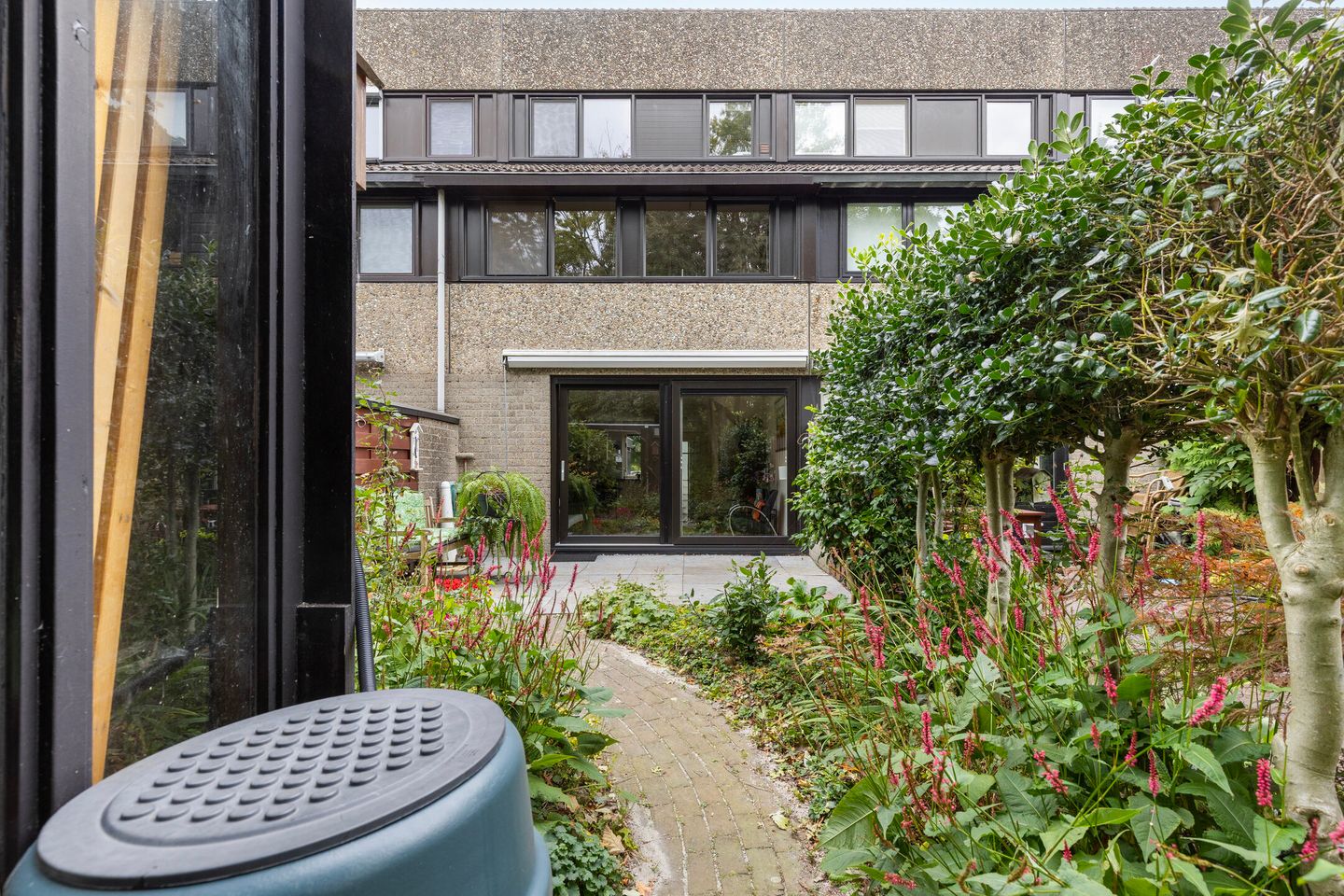 Photo 19 of Deborah Hoeve 55