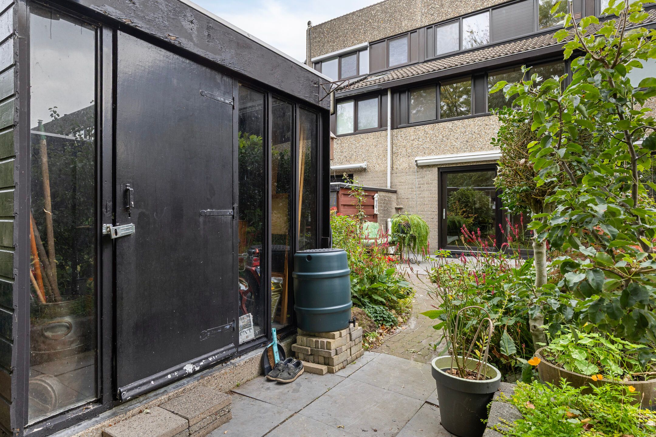 Photo 21 of Deborah Hoeve 55