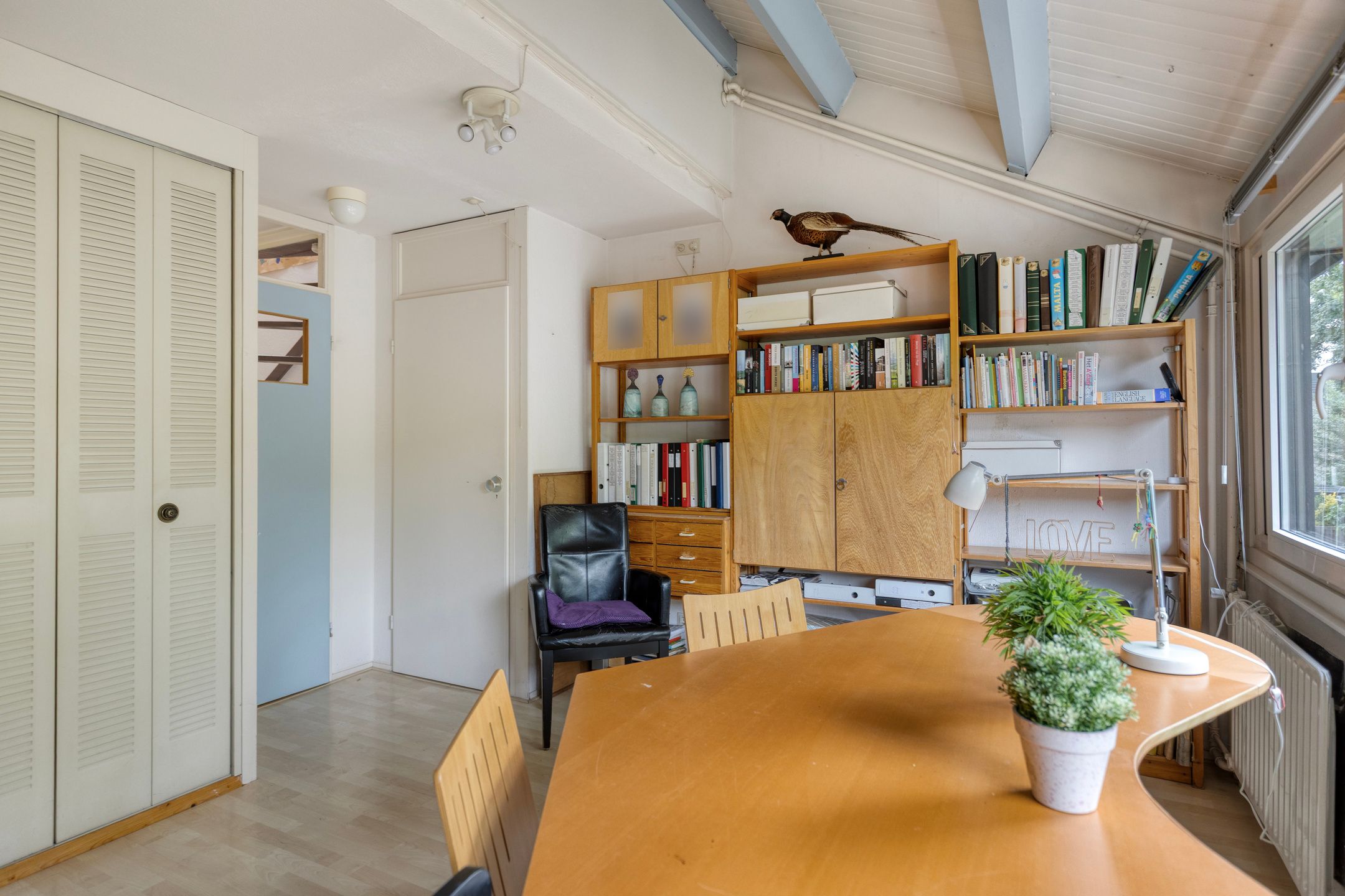 Photo 27 of Deborah Hoeve 55