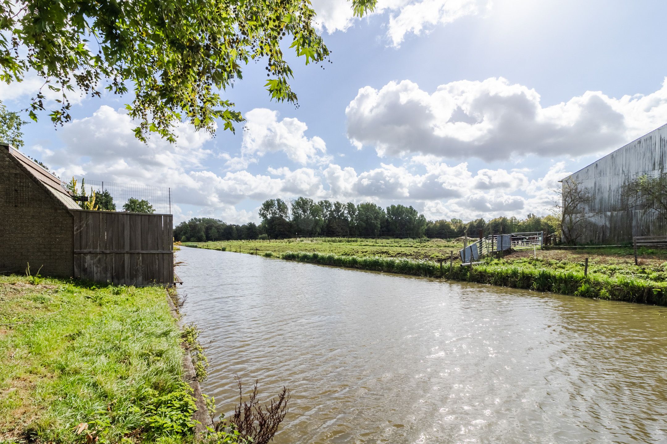 Foto 39 van Merelplein 19