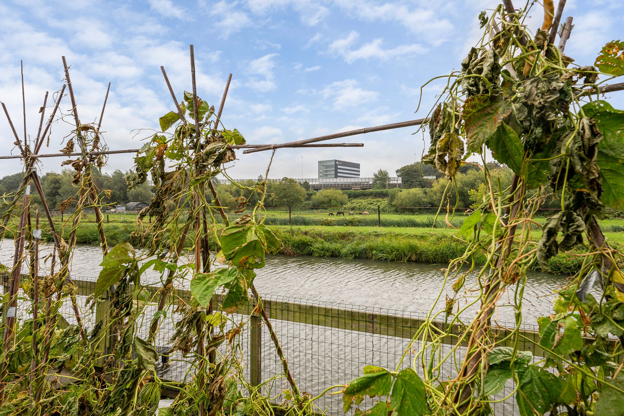 Photo 48 of Bergse Linker Rottekade 37-A