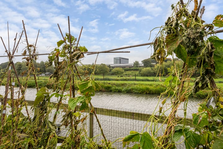 Foto 48 van Bergse Linker Rottekade 37-A