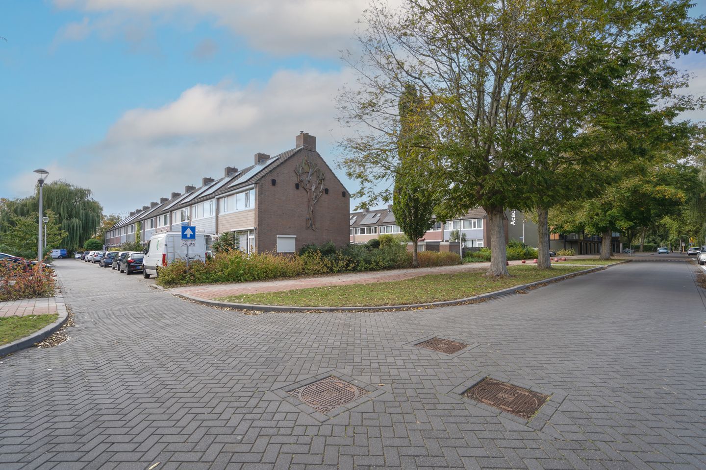 Foto 55 van Kastanjelaan 11