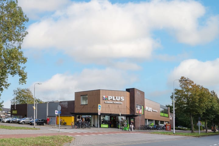 Photo 59 of Kastanjelaan 11