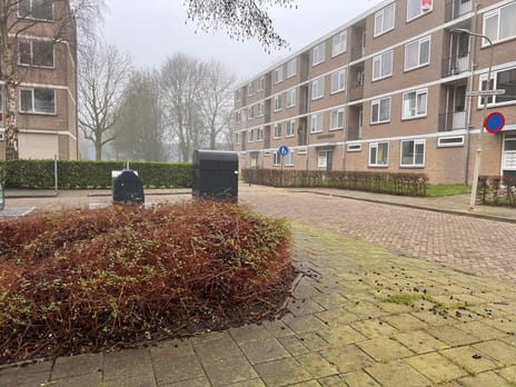 undefined main image