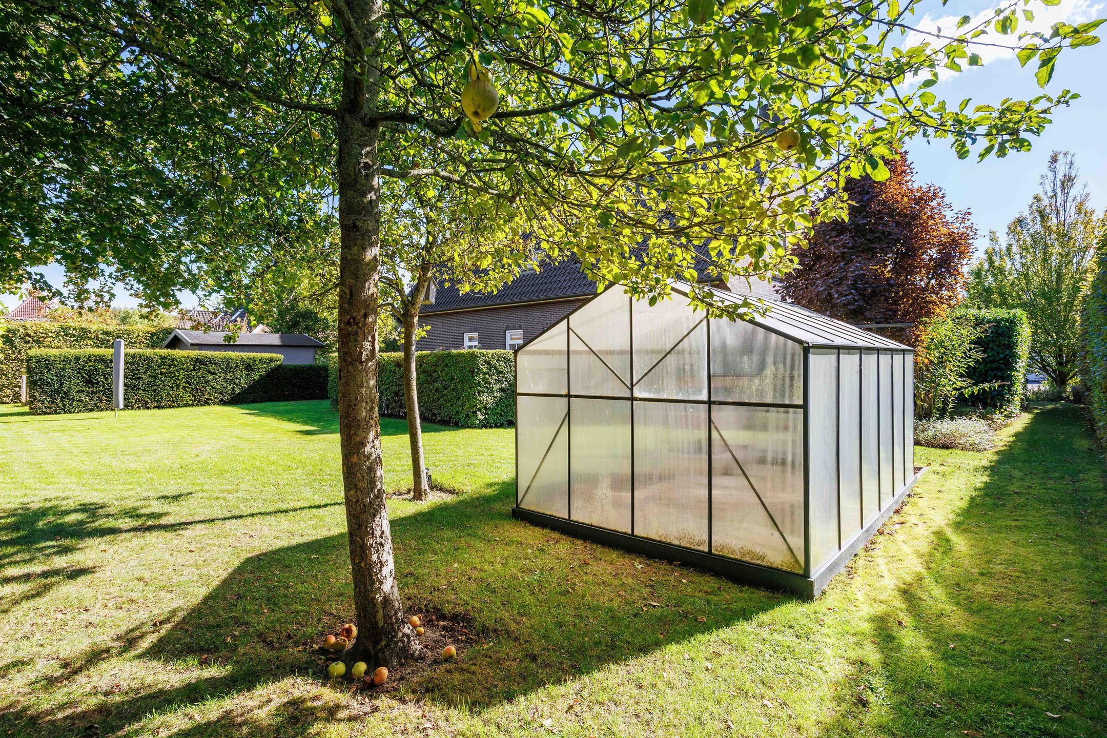 Foto 54 van Jacob Teweslaan 3