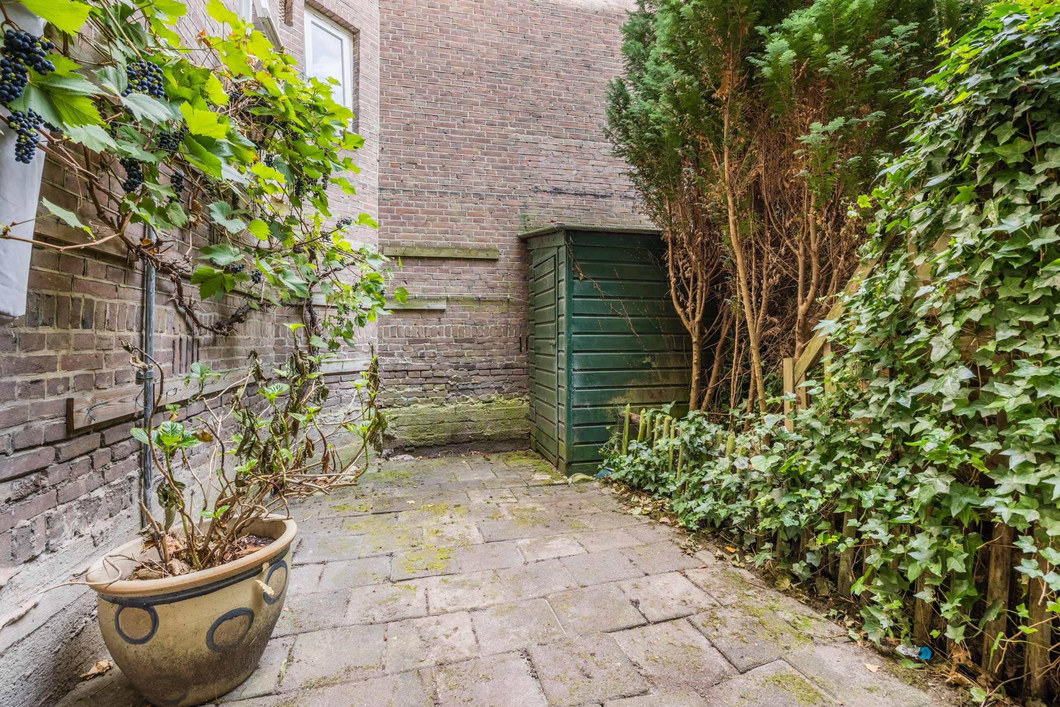 Photo 12 of Van Nideckstraat 34