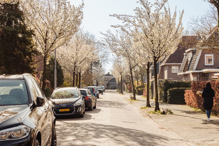 Foto 40 van Pelikaanstraat 21