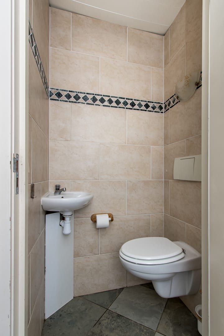 Photo 46 of Maasdijk 209