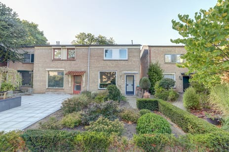 undefined main image