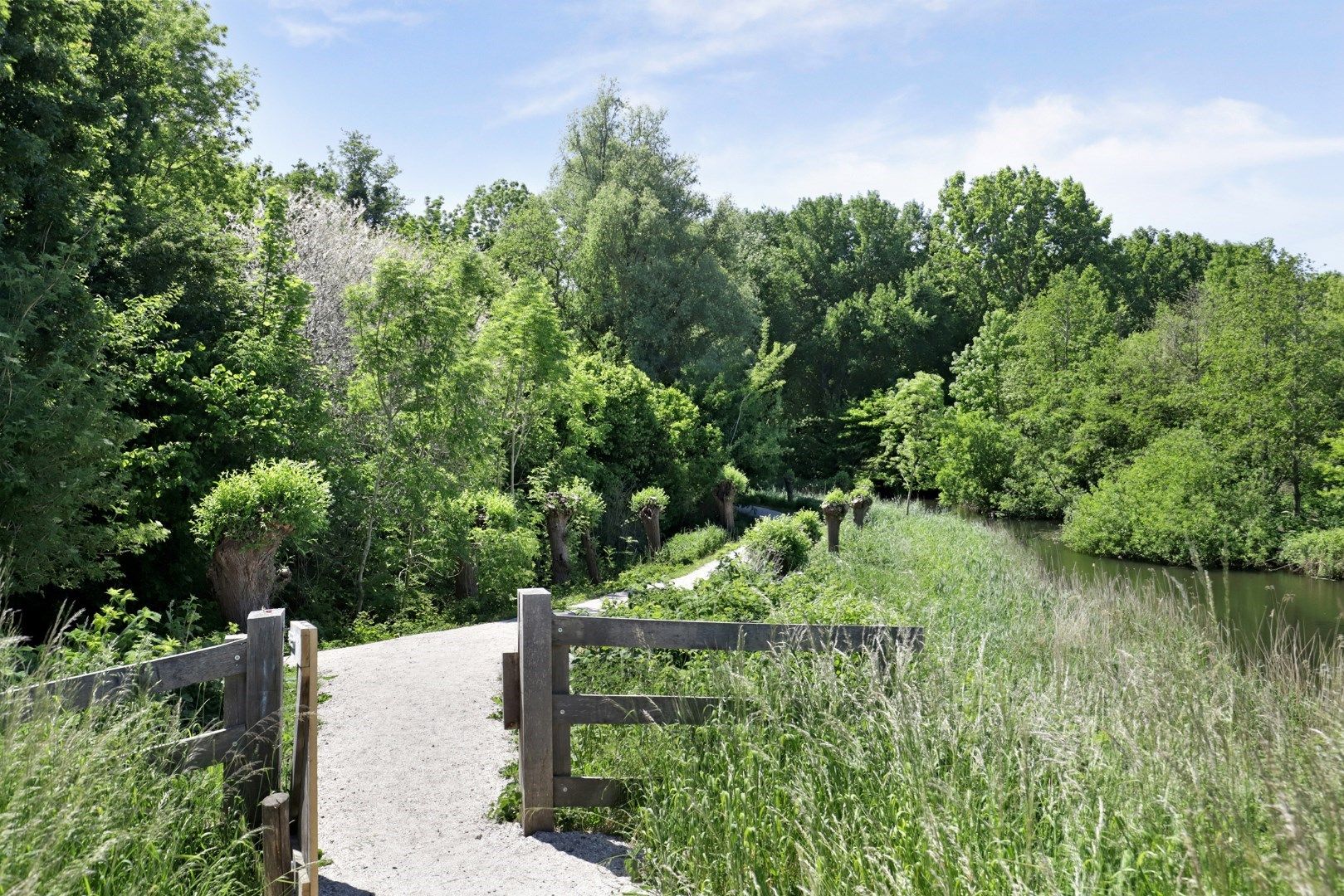 Foto 33 van van Beijerenstraat 67