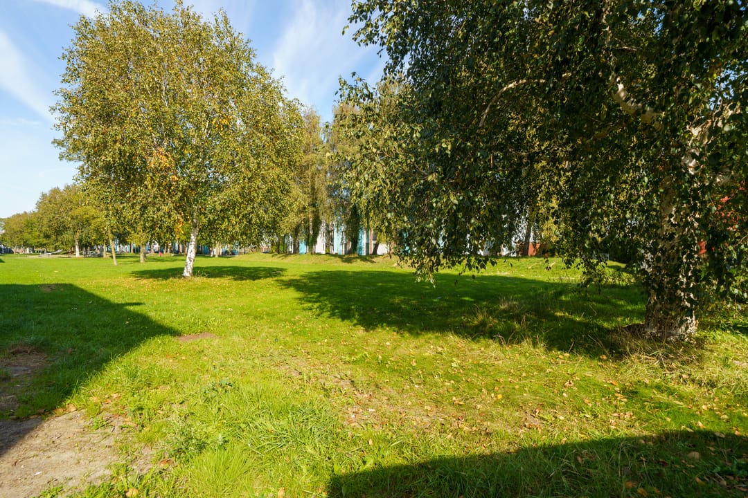 Foto 8 van Mintplantsoen 60-A