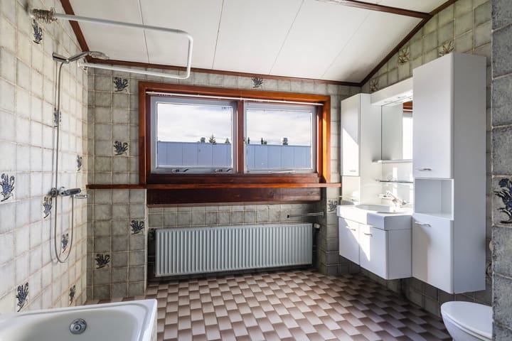 Foto 41 van Triemsterloane 1