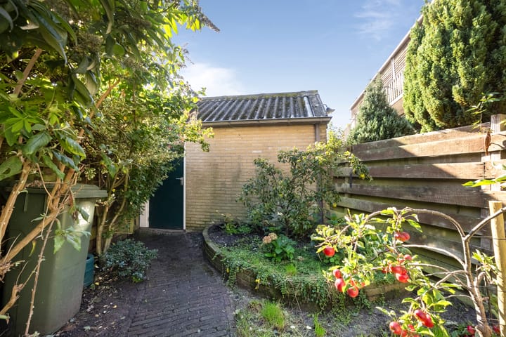 Foto 18 van Albion 6