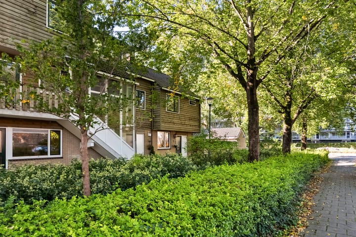 Foto 40 van Albion 6