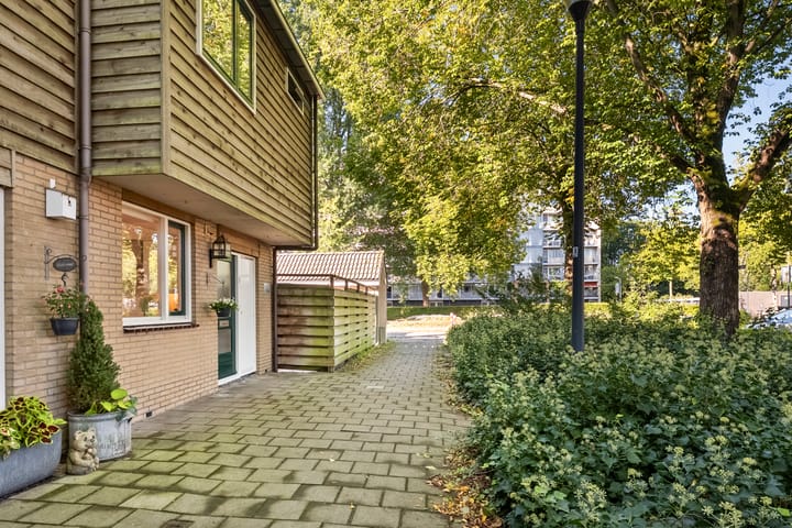 Foto 41 van Albion 6