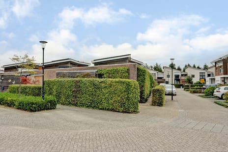 undefined main image