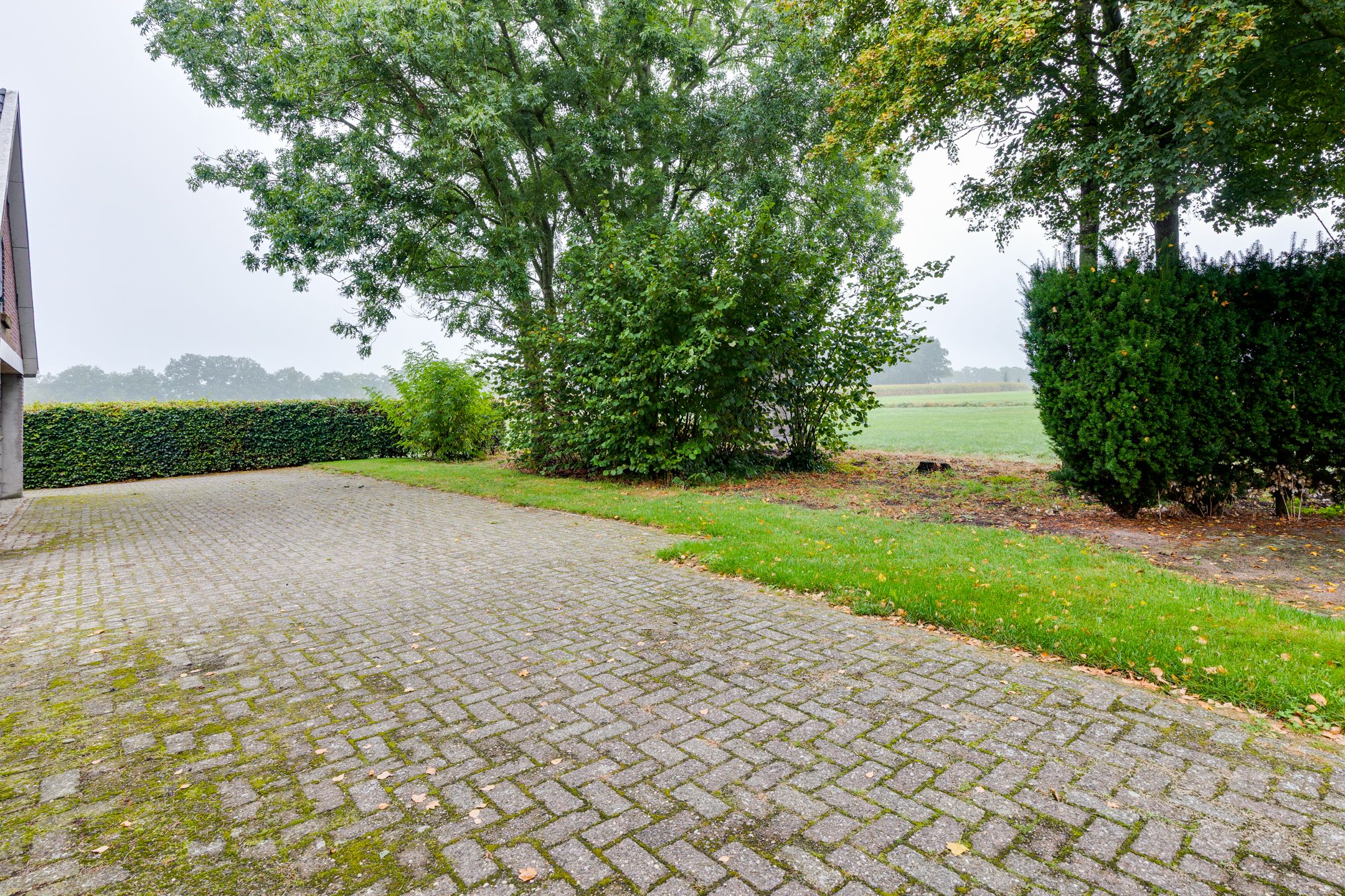 Foto 51 van Avesterweg 15