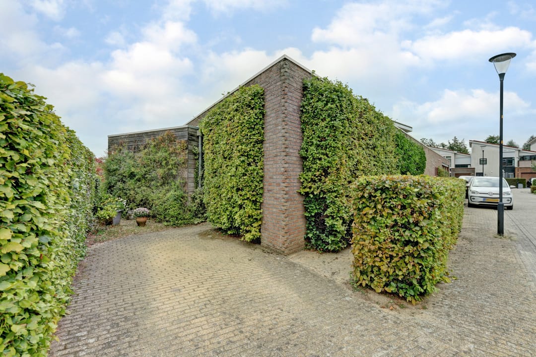 Foto 31 van Diana 23