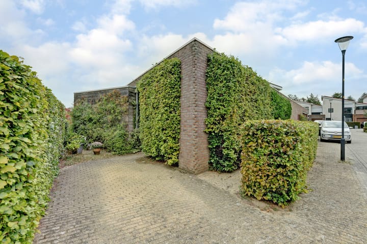 Photo 31 of Diana 23