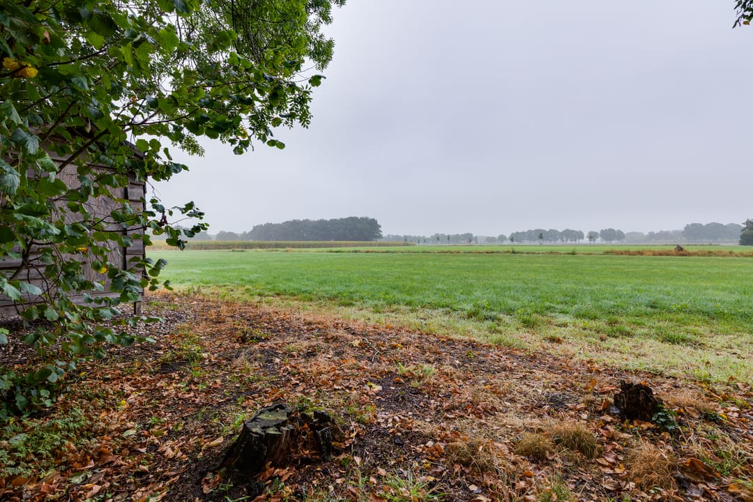 Foto 52 van Avesterweg 15