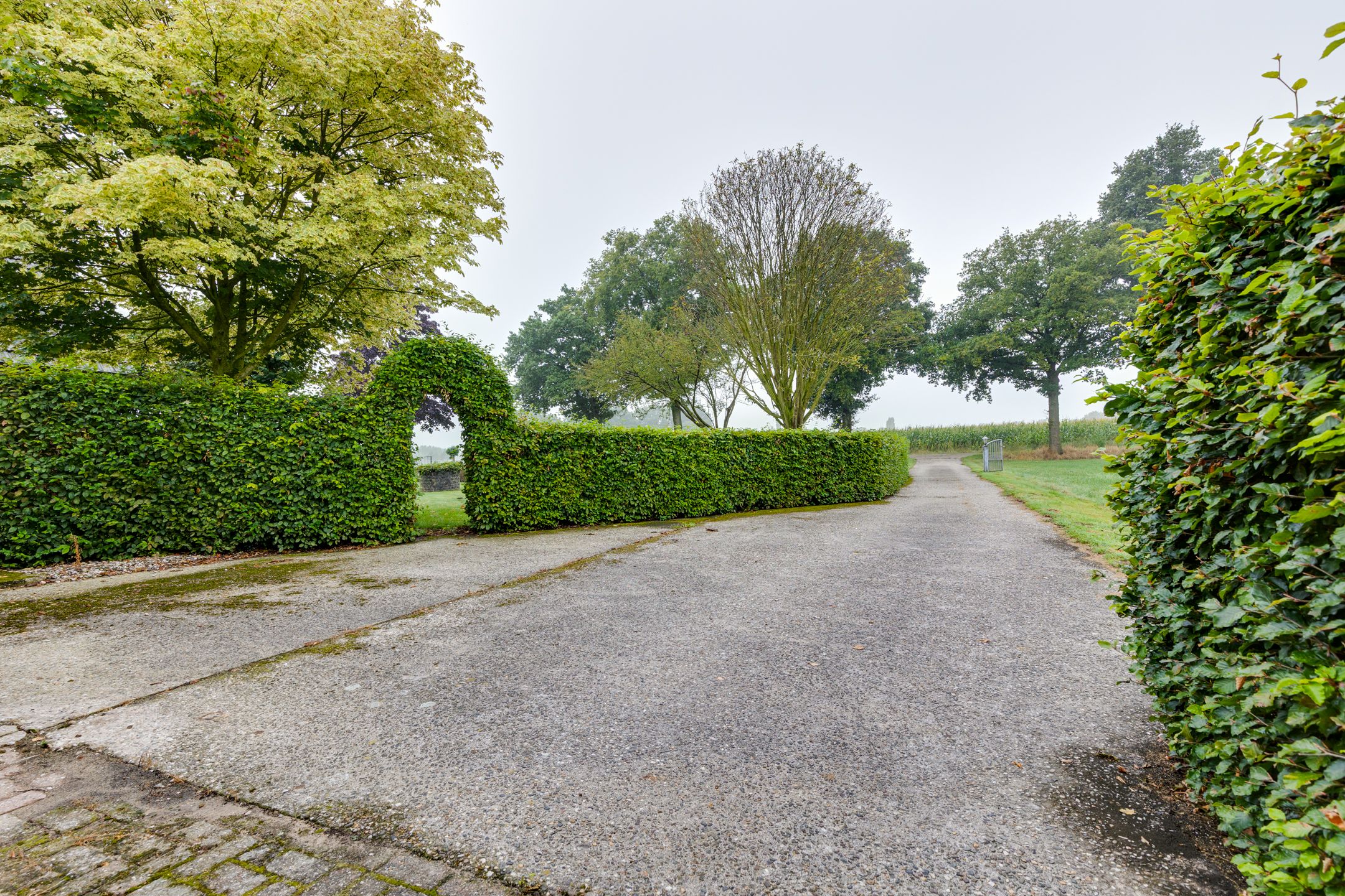 Foto 57 van Avesterweg 15