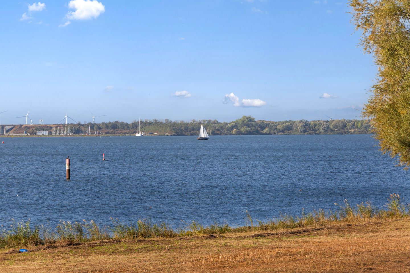 Photo 35 of Numansgors 193