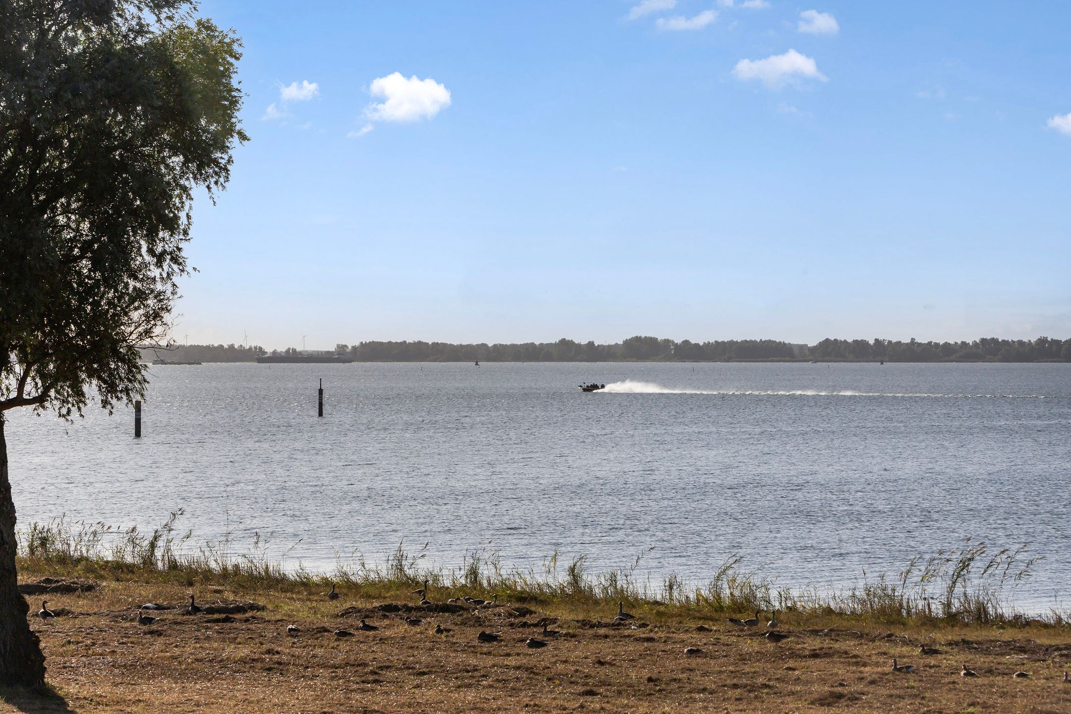 Photo 36 of Numansgors 193