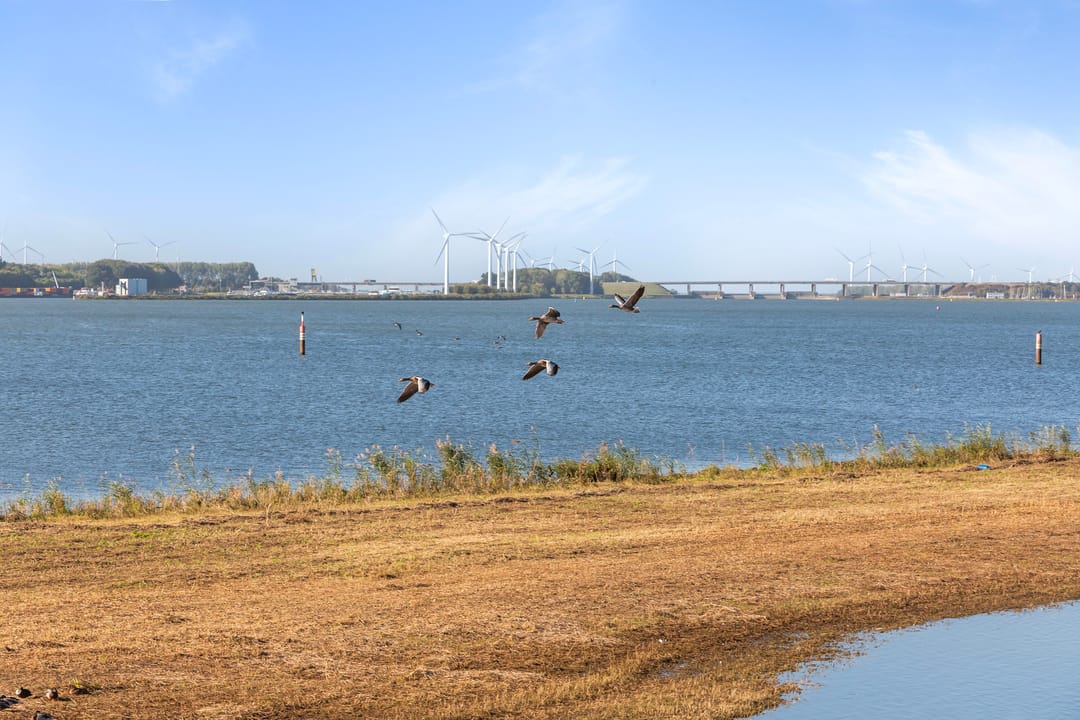 Photo 37 of Numansgors 193