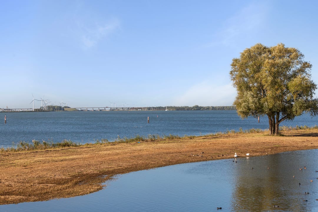 Photo 38 of Numansgors 193