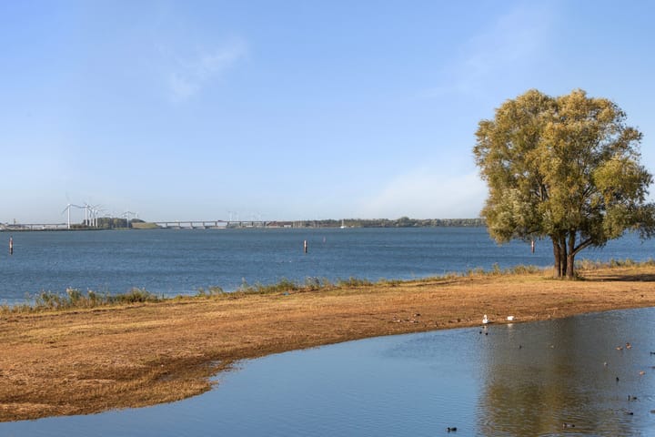 Foto 38 van Numansgors 193